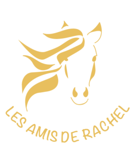 logo les amis de rachel format jaune rond